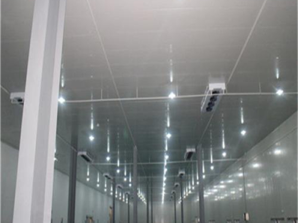 建造安裝食品低溫冷藏庫有哪些因素影響造價？